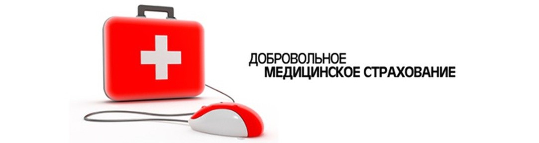 ДМС 1