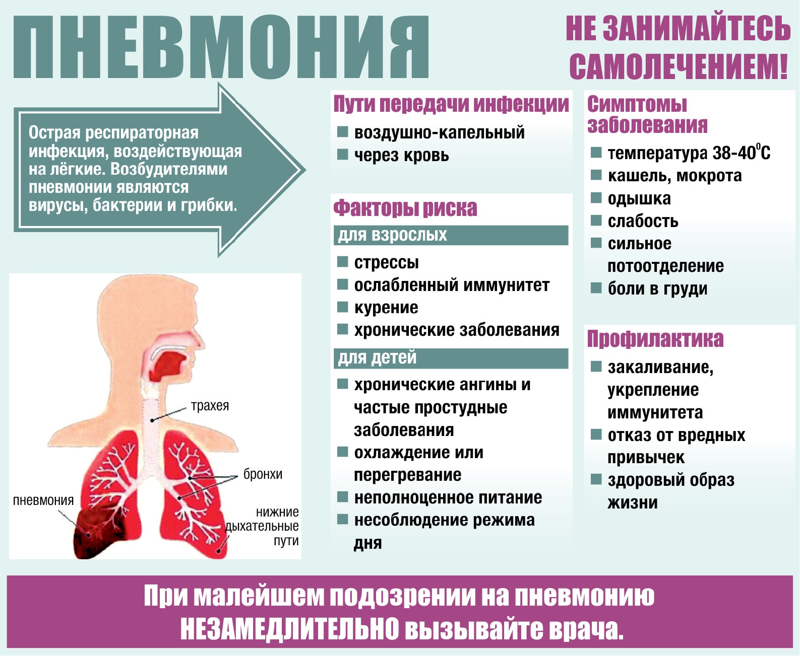 6-12 ноября Неделя профилактики заболеваний органов дыхания — ГАУЗ ГКБ 2