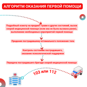 Алгоритм оказания ПП (1)